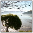 Lyttelton